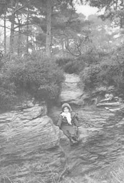 Storeton_Wood_1911.jpg