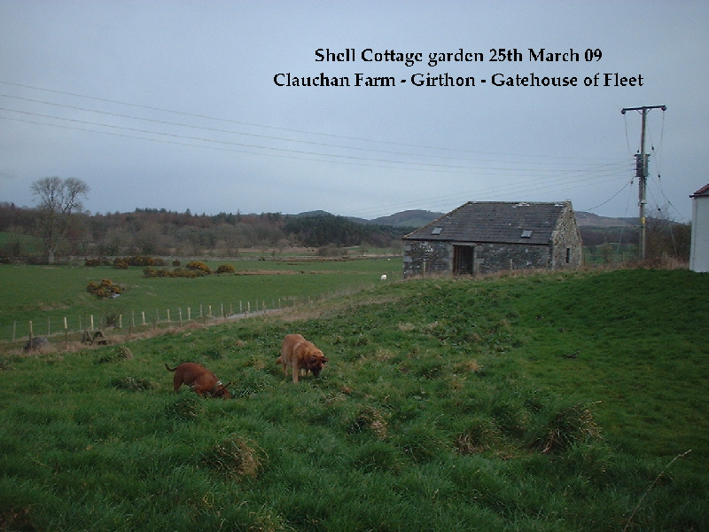 shell cottage at girthon click for big pic