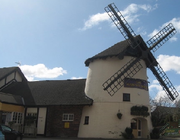 The Harvest Mouse Pub 