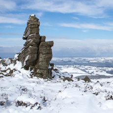 Stacks Image 82852