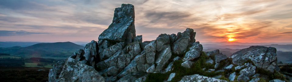 Stacks Image 82858