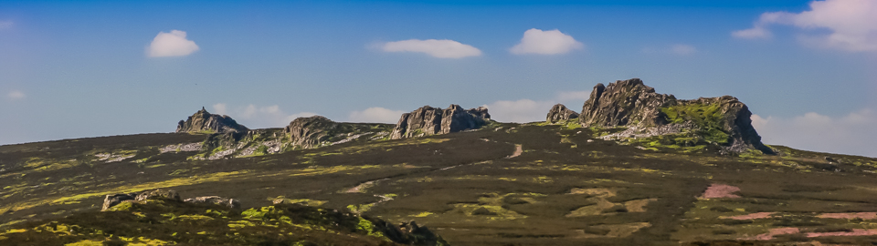 Stacks Image 82860