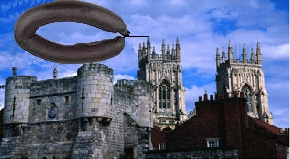 York