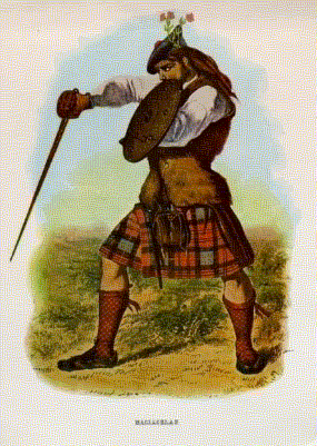 Scottish Highlander