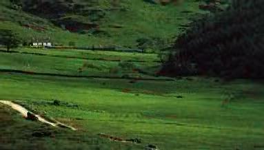 Deserted Glens
